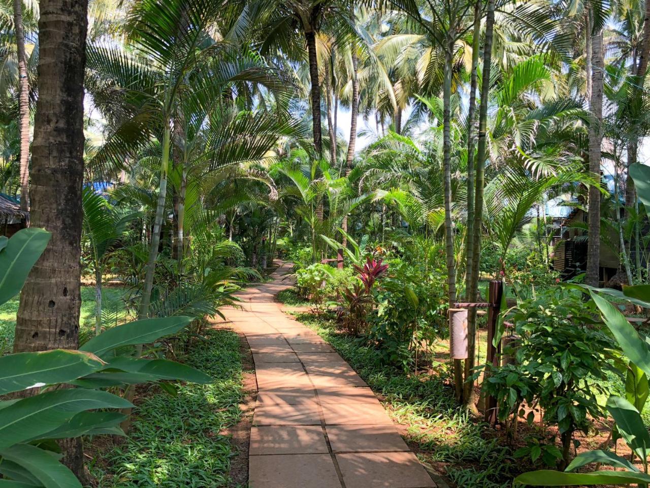 Leela Cottages Morjim Eksteriør bilde