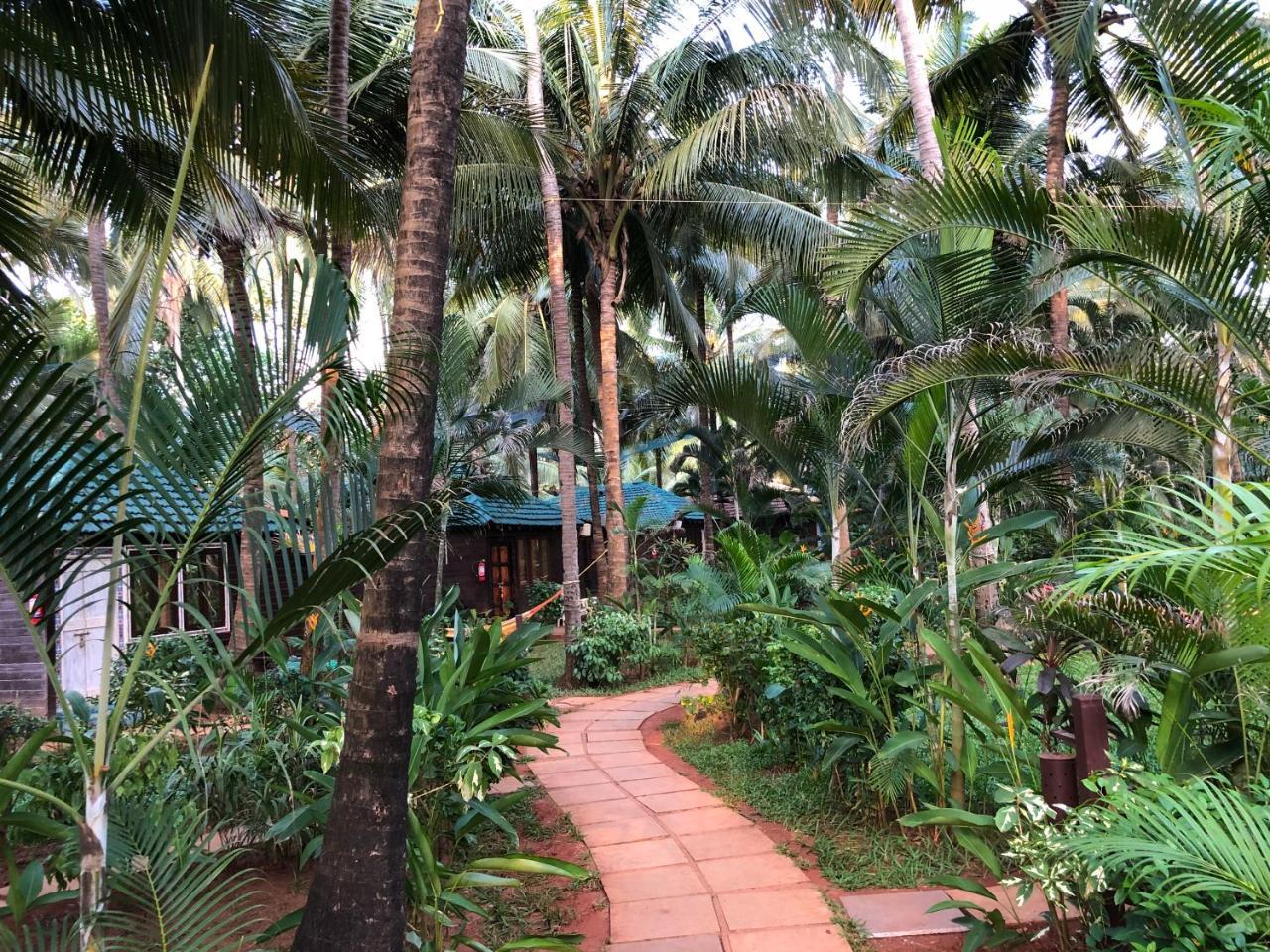 Leela Cottages Morjim Eksteriør bilde